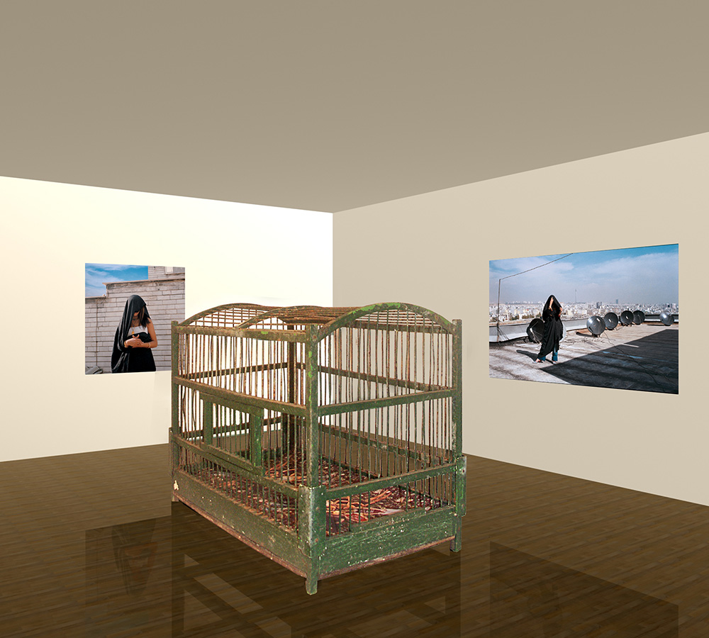 model of the installation 1